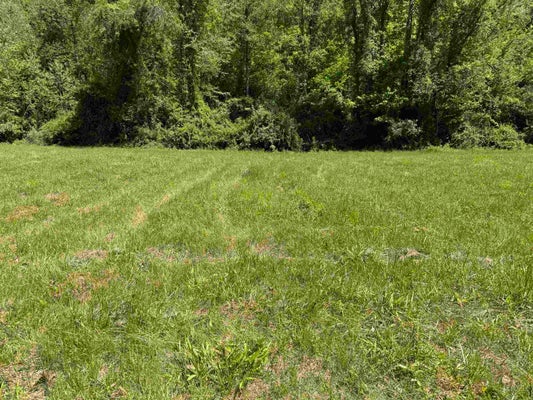 LITTLE PADDY RD, PROCTORVILLE, OH 45669 - Image e1d102f7dbd85796075f4a4197192e2b/1057715519