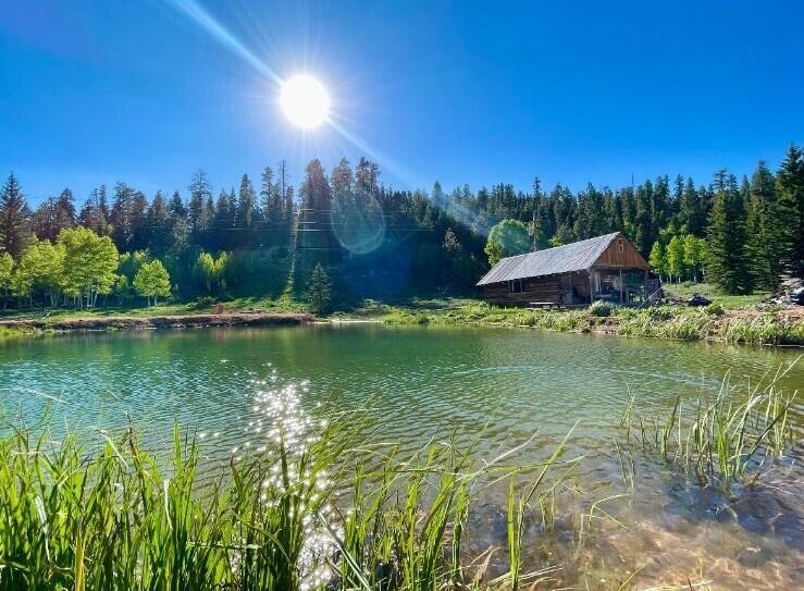 FISHERMAN'S DREAM - Watch the sunset's fading light reflect on YOUR own Spring Fed,  Basin  as you sit on your Rustic Log Cabin's Covered Porch that is Tucked against Dixie National Forest.  The Cabin's interior features a vaulted ceiling, custom chandelier, ceiling fans, over stuffed, leather couch & chairs, cozy kitchen, dining area, 3/4 Bathroom, 2 Lofts w/ 3 twin beds, and a Queen Bed Area.  For winter comfort, snuggle up with the wood burning stove.  Easy walk to shopping, restaurants, hiking to Aspen-Mirror Lake, cross country skiing, and so much more.  The Cabin is Turnkey - it just needs YOU for the vision to be complete.