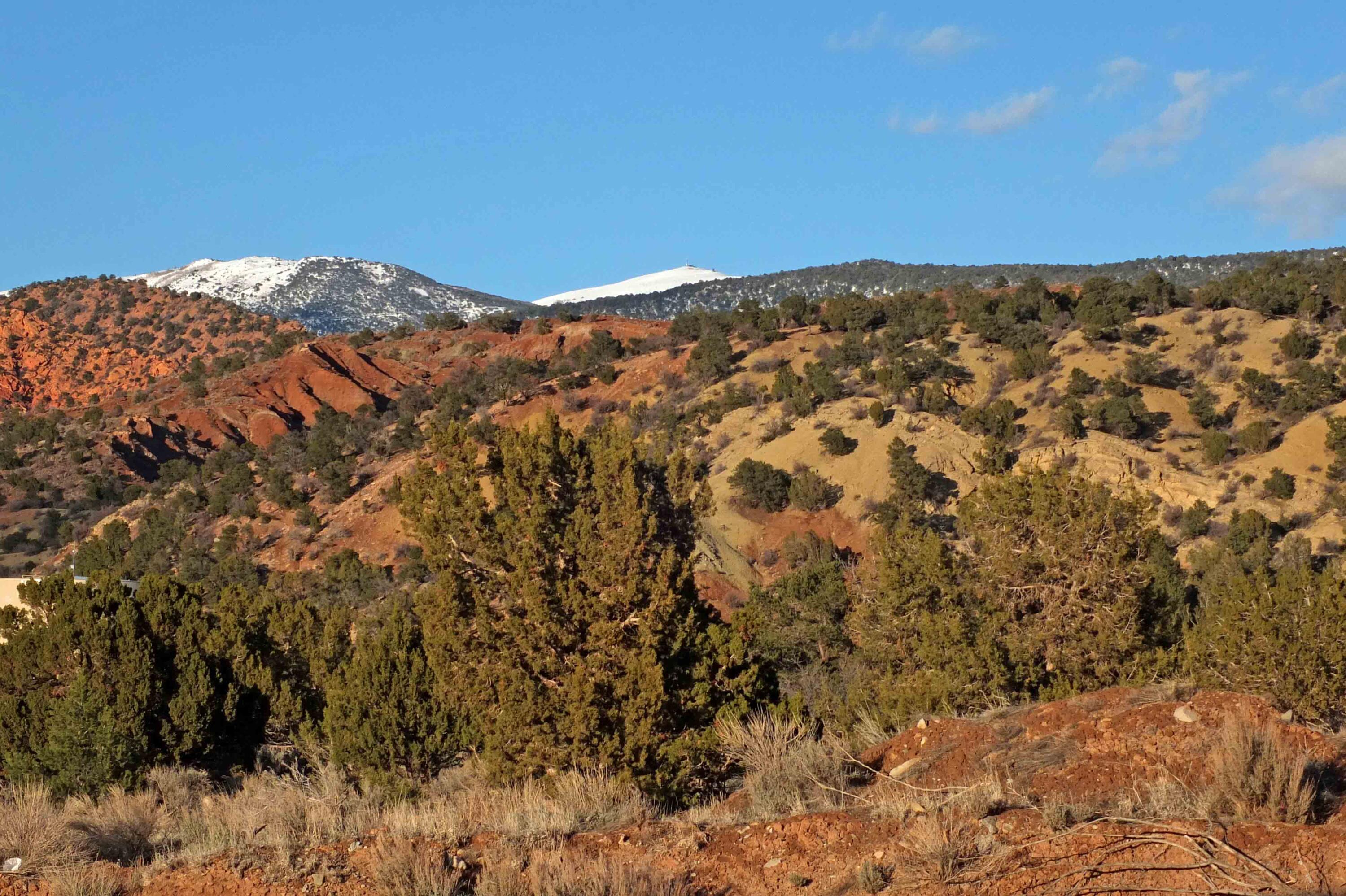 TRAILSIDE - Residential