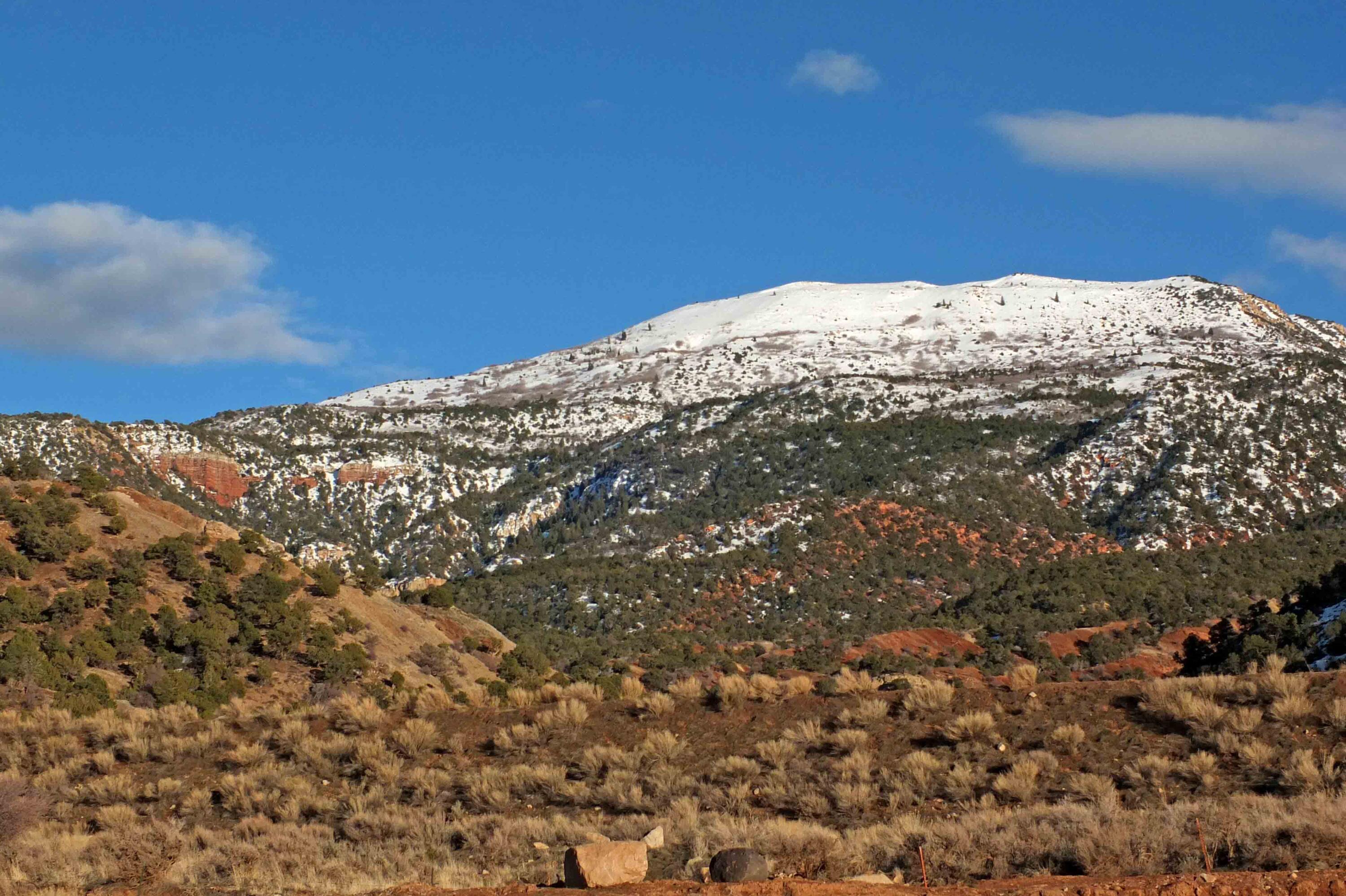 TRAILSIDE - Residential