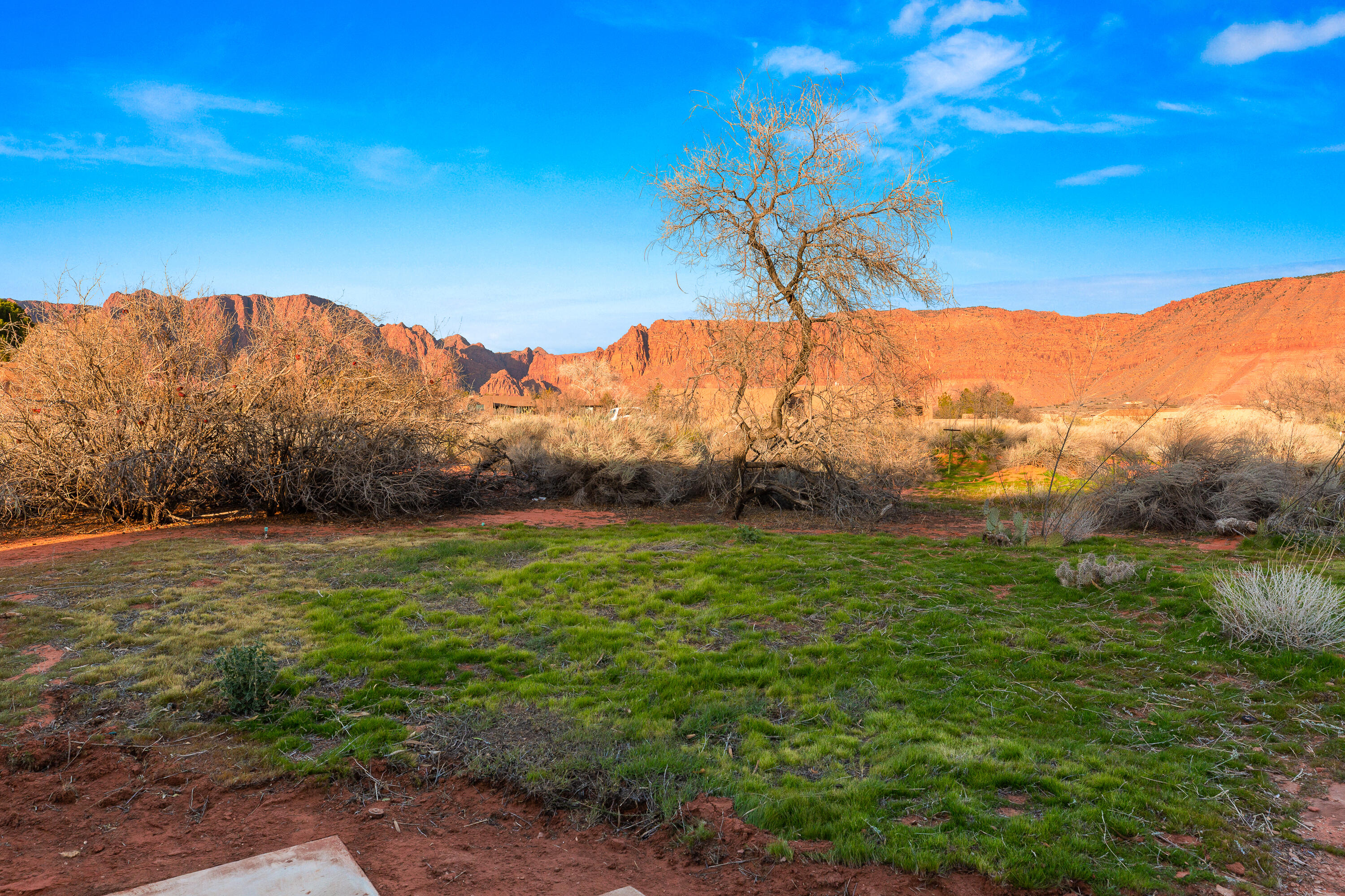 WILLOW SPRINGS - Residential