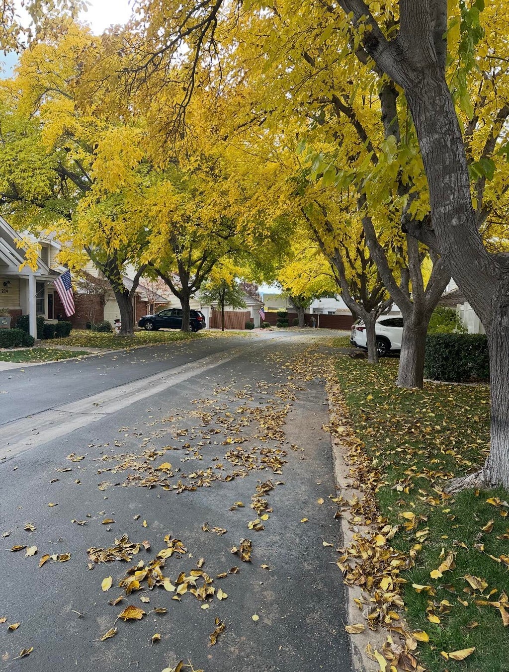 Photo of 845 N Valley View Drive #500, Saint George, UT 84770 (MLS # 26-277084)