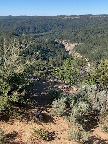 ZION PANORAMA - Land