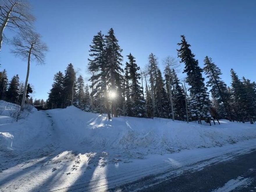 This beautiful lot located on Elk Meadow Drive on your way to Skyline Lodge at Eagle Point Resort. This is a corner lot that has plenty of
 room to build an amazing mountain home. It also has ski in/ski out access. The location of this property has year-round easy access with a paved road
 taking you directly into your Home. Enjoy the amazing views and the peace and quiet. Utility infrastructure in the street. The property has SID Fees for water
 and road maintenance, but no HOA Fees. Must See to Fully Appreciate.