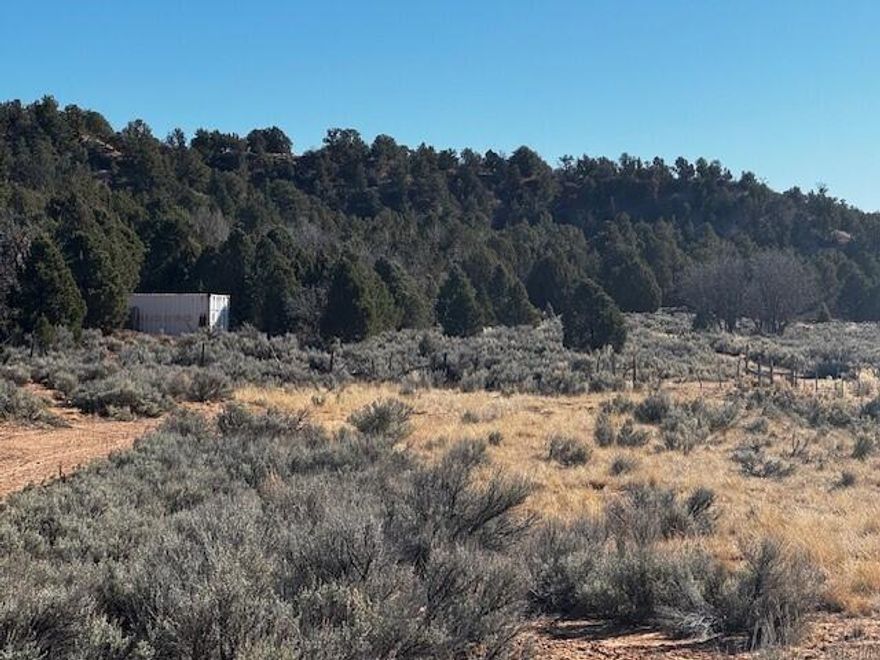 Breath Taking Views of Bryce Canyon.  OFF THE GRID Property with a well.  Water Rights # to be provided. Buyer to prove up on to be certified.  20 Acres mostly fenced.  Well house with pump and generator, Corrals.  This proeprty is on the Skutumpah County Road (SR500).  In an HOA of 8000 Acres- 2000  Ac common are with includes 10 HOA Cabins, with 2 weeks cabin stay (with minimal Charge), 3 fishing ponds, airstip, working cattle ranch, on-site Manager.  $500/YR HOA Dues.  7 person Board of Directors.  This property is on County Road and is a usable property.  1-1/2 Miles from the Ranch Headquarters.  Ranch HQ is yearly accessible.