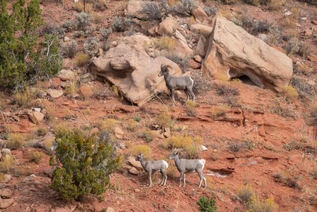 APPLE VALLEY TOWNSITE - Land