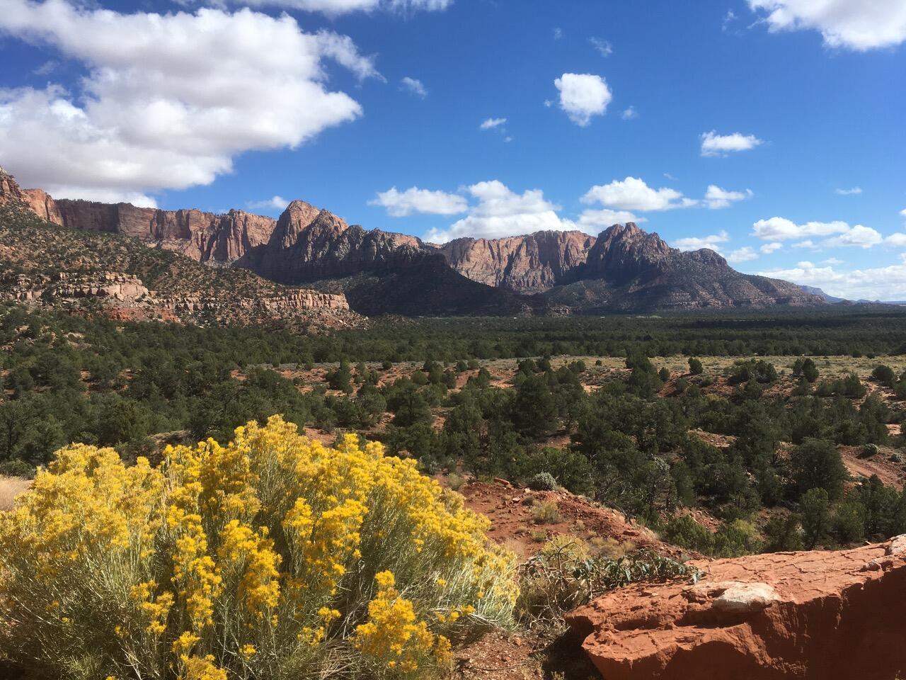 APPLE VALLEY TOWNSITE - Land