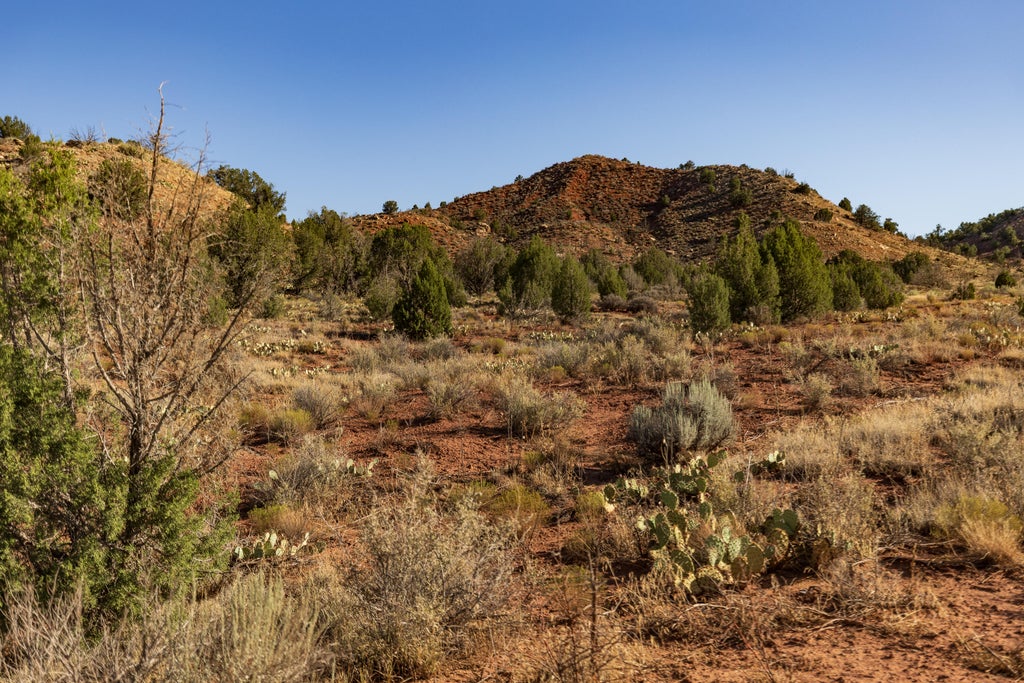 Photo of Rockville mesa R-1308-4 #R-1308-4, Rockville, UT 84763 (MLS # 26-274937)