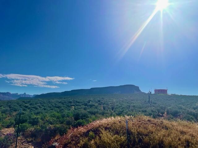 VIRGIN TOWNSITE - Land