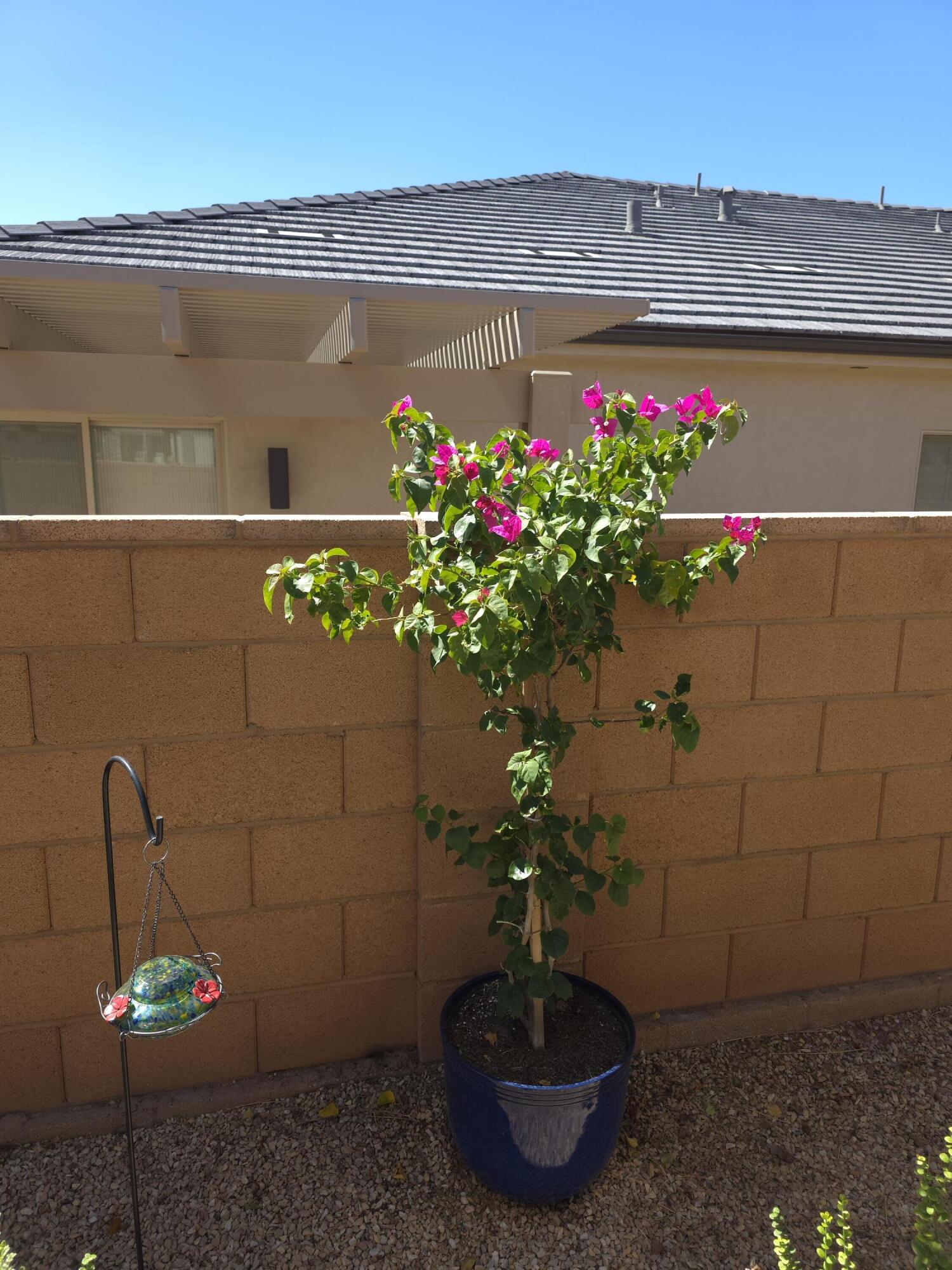 VILLAS AT SUN RIVER - Residential