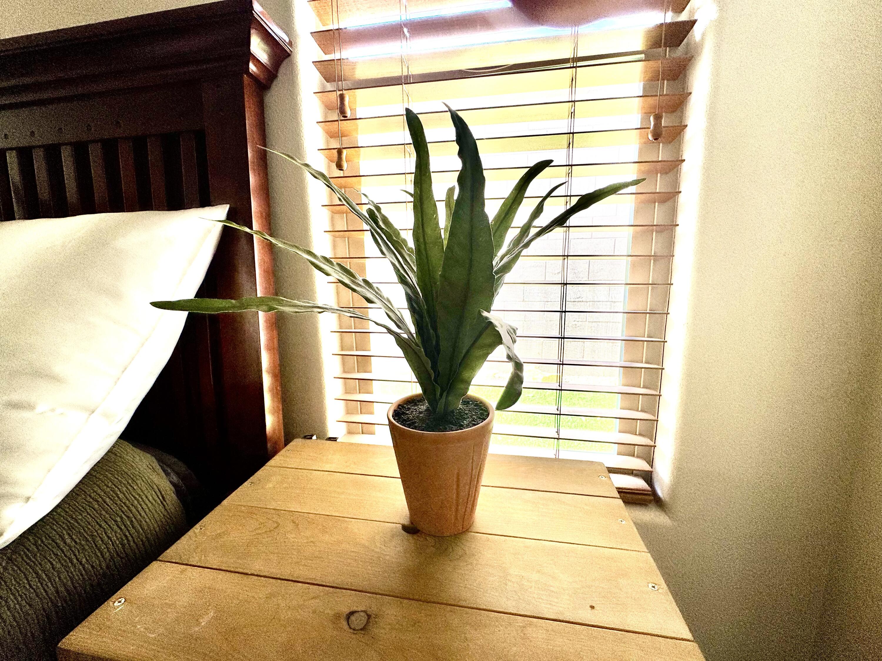 COTTON MANOR CONDOS - Residential