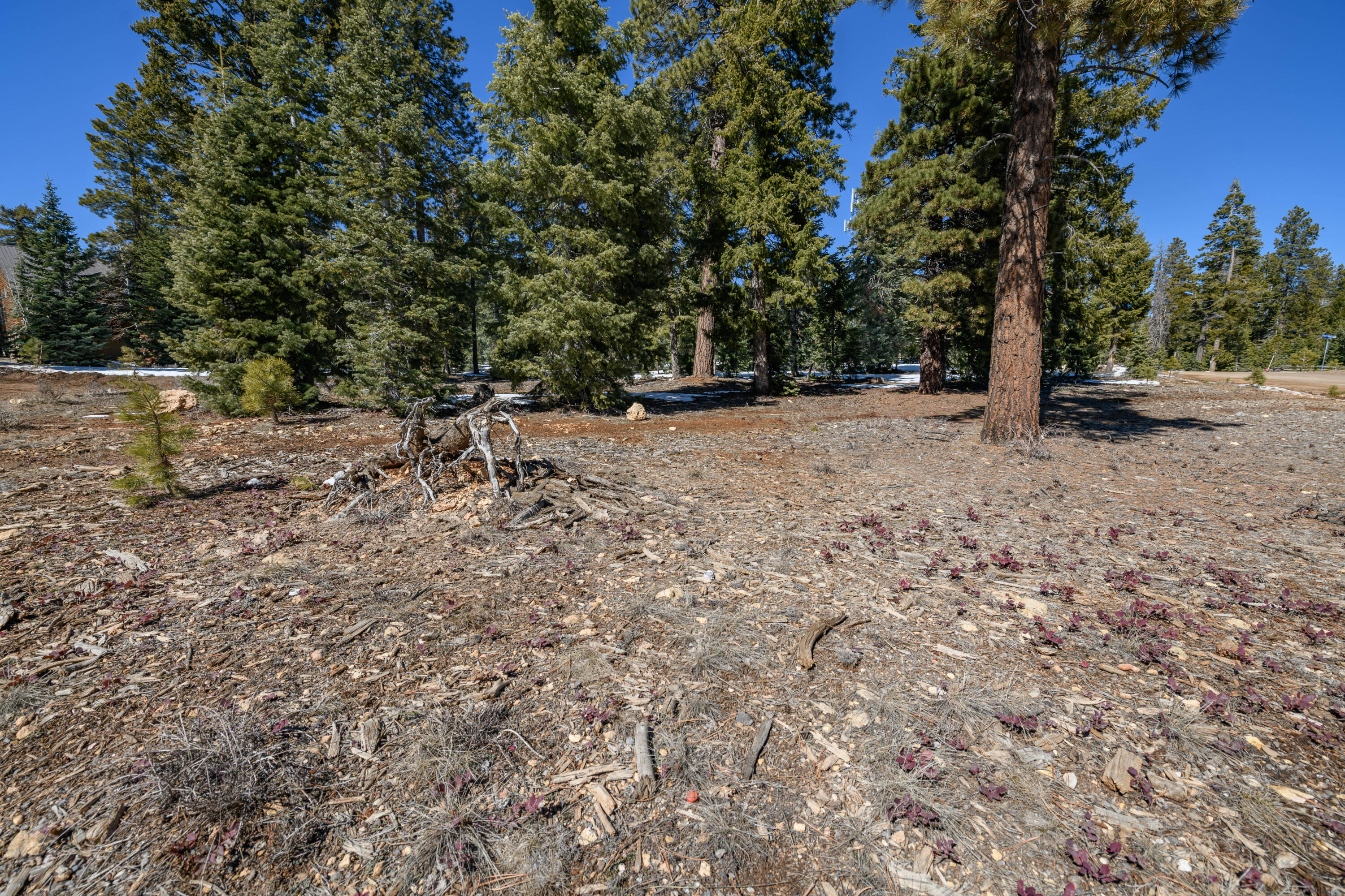 NOT AVAILABLE - Land