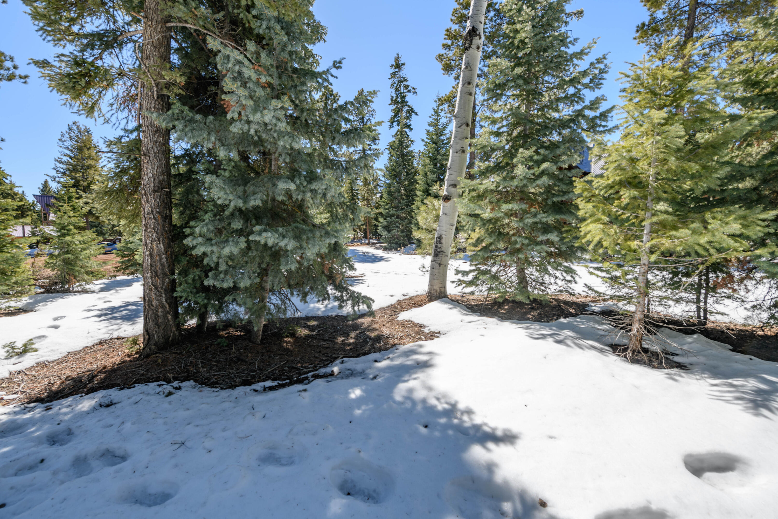 NOT AVAILABLE - Land