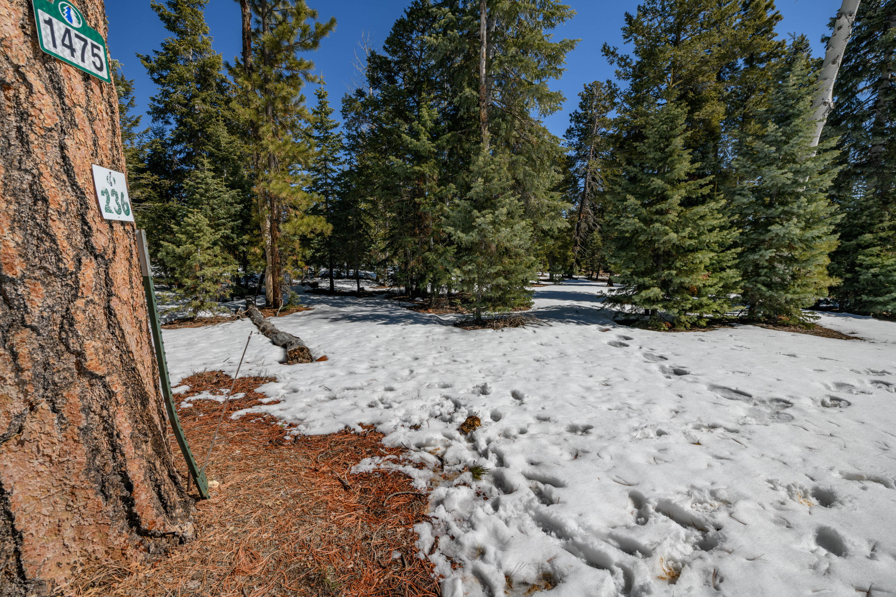 NOT AVAILABLE - Land