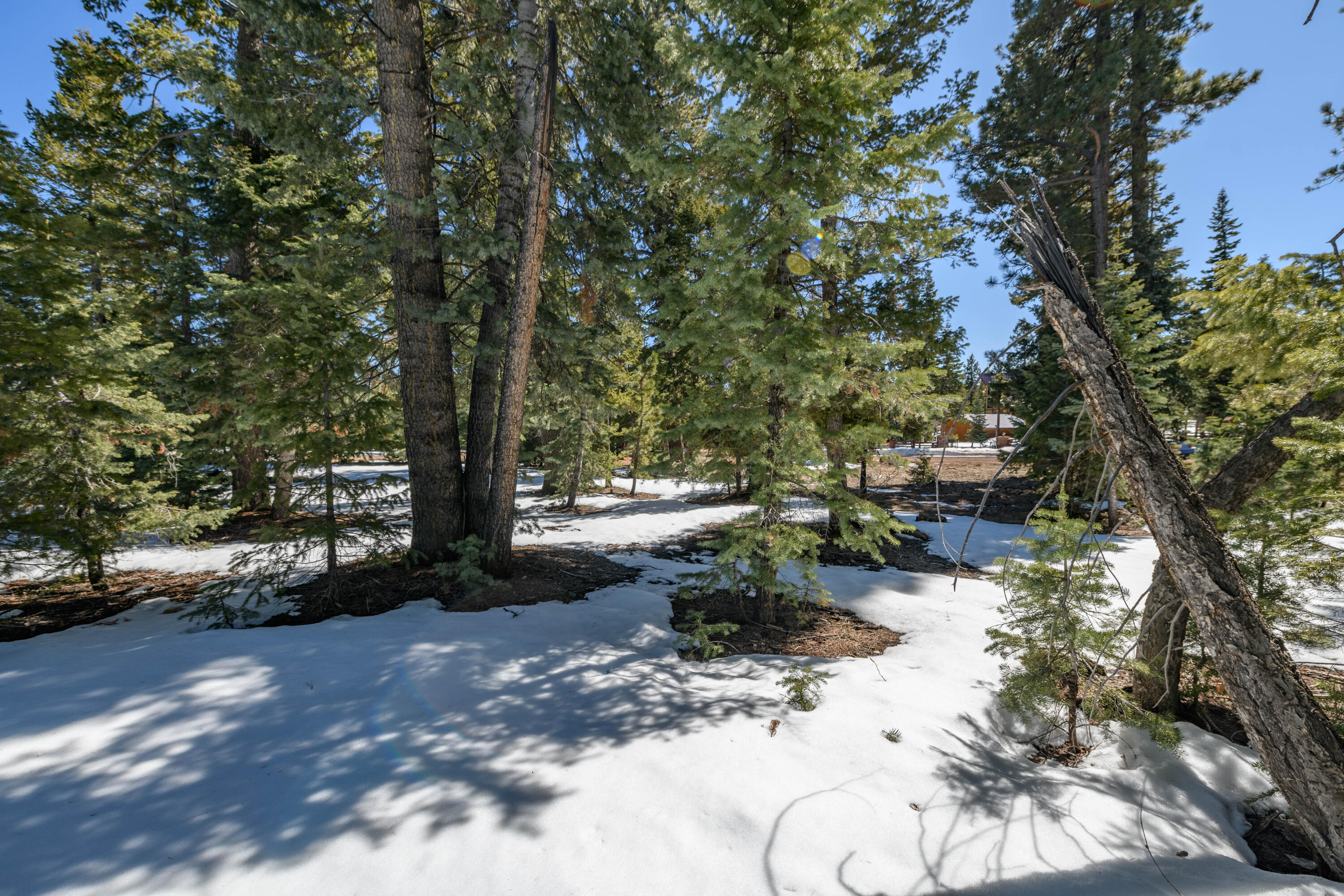 NOT AVAILABLE - Land