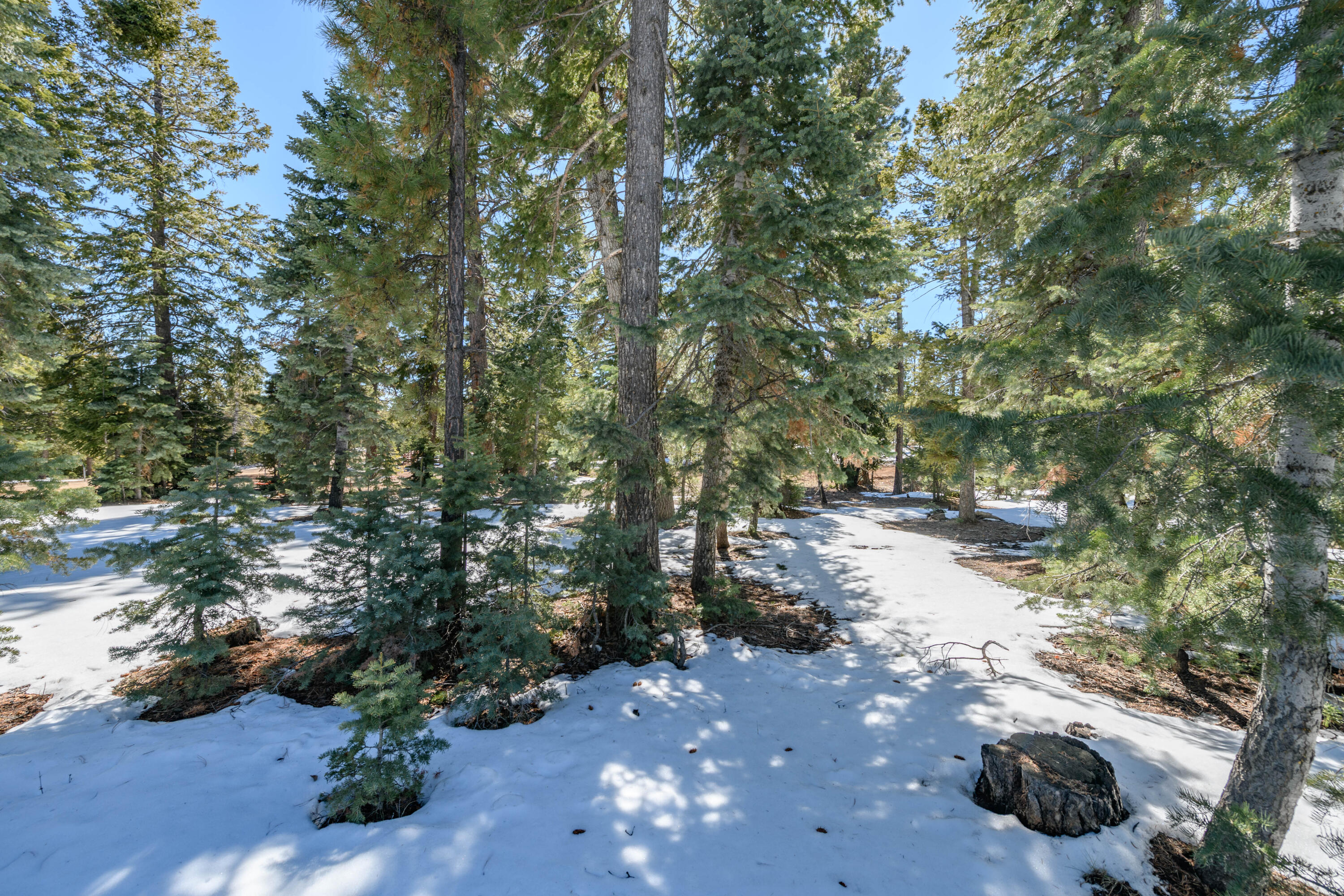 NOT AVAILABLE - Land