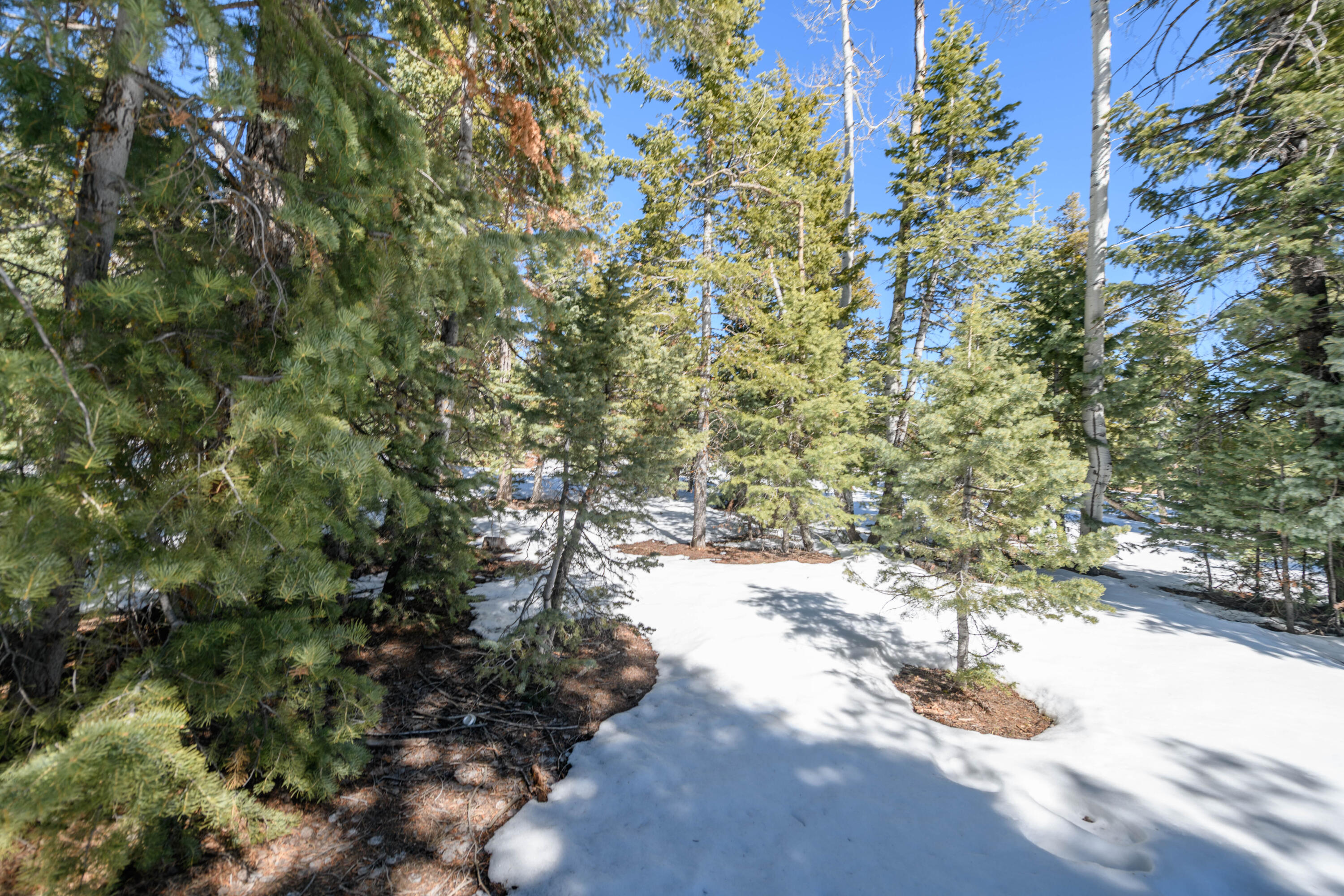 NOT AVAILABLE - Land