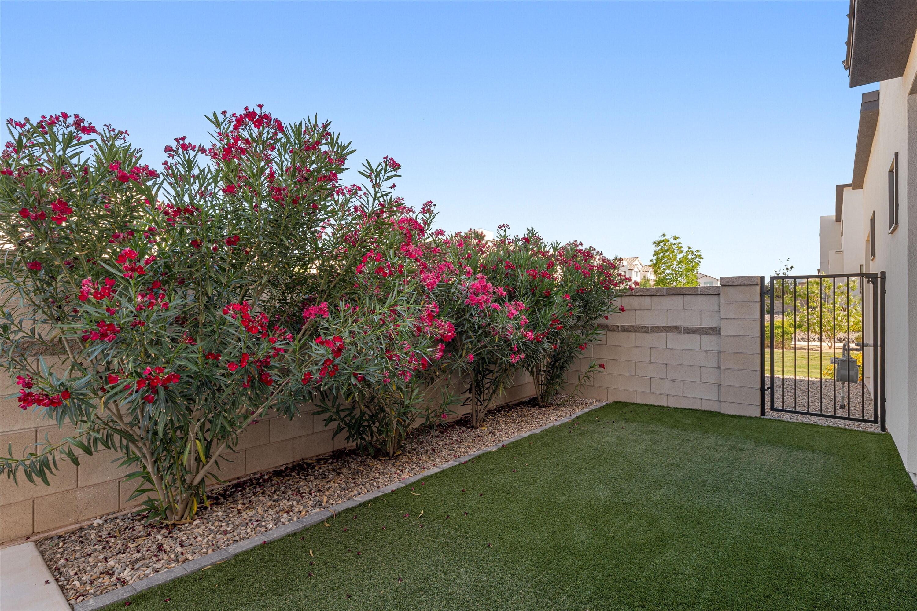 DESERT COLOR AUBURN HILLS - Residential