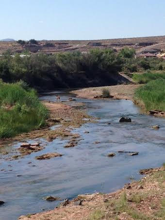 PRIMROSE POINT - Residential