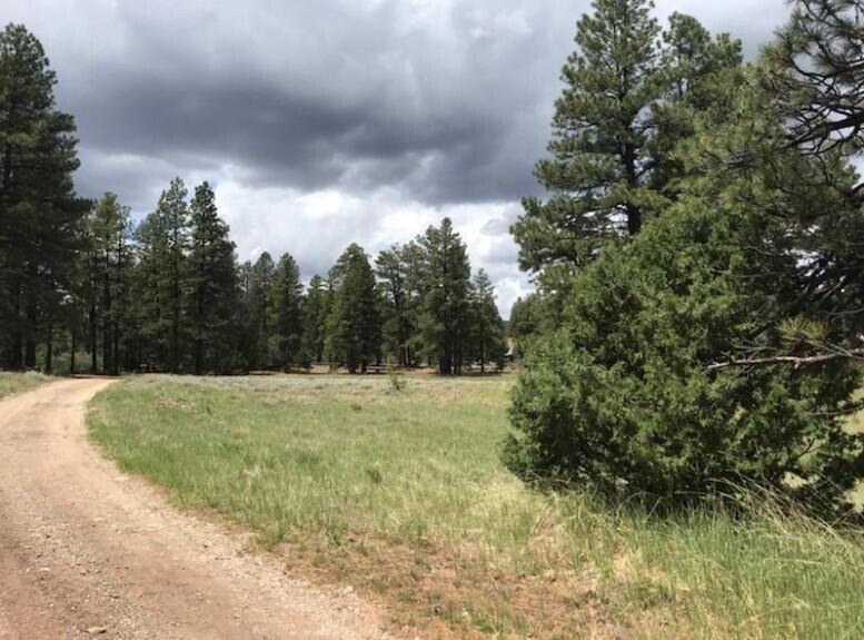 ZION PANORAMA - Land