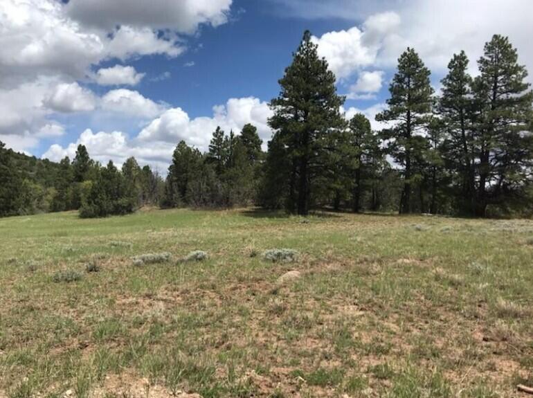 ZION PANORAMA - Land