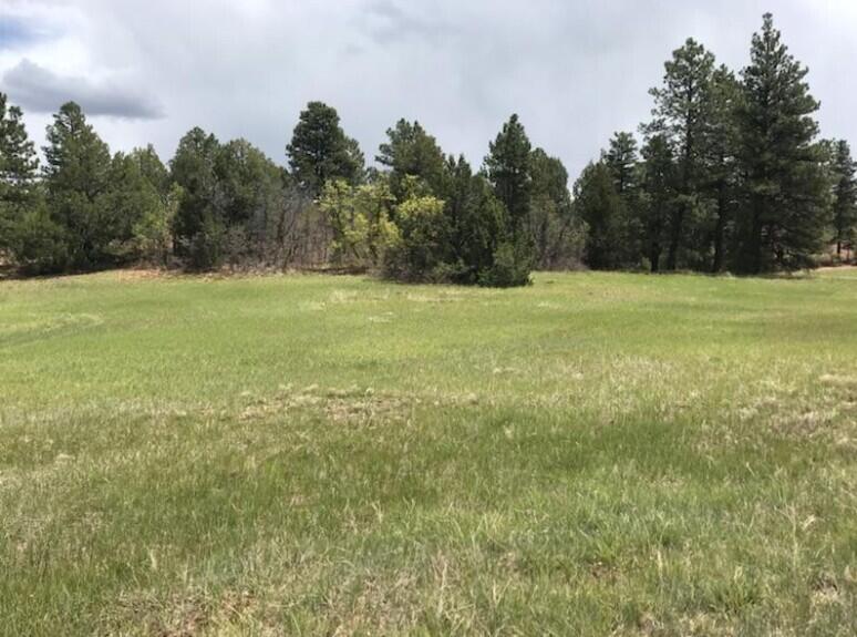 ZION PANORAMA - Land