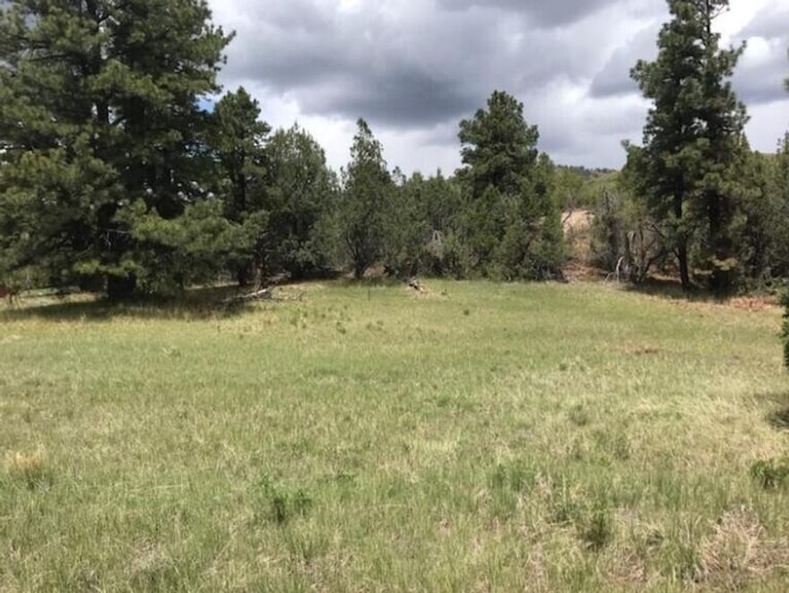 1.6 Acre lot, beautifully located on Kolob mountain north of Zion National Park.  Ponderosa Pines on corner of lot with an excellent building spot that looks over the remaining portion of the lot which is level meadow grass.  Build your Dream cabin, bring a RV or enjoy a unbelievable camping spot.  Water is included and provided by Zion Panorama to the lot.  A locked-gate subdivision makes for a private and secluded stay.  Enjoy watching the wildlife, hiking, ATV fun, fishing and much more.  Located approx 5 miles from Kolob Reservoir.