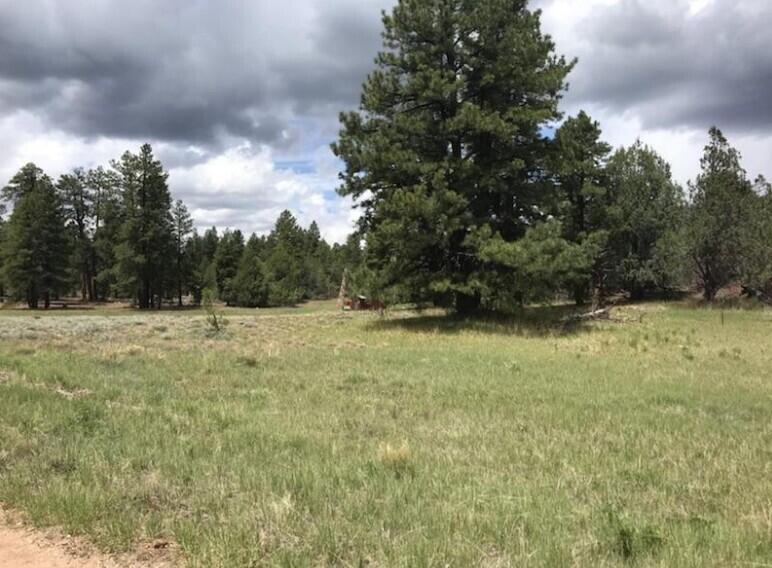ZION PANORAMA - Land