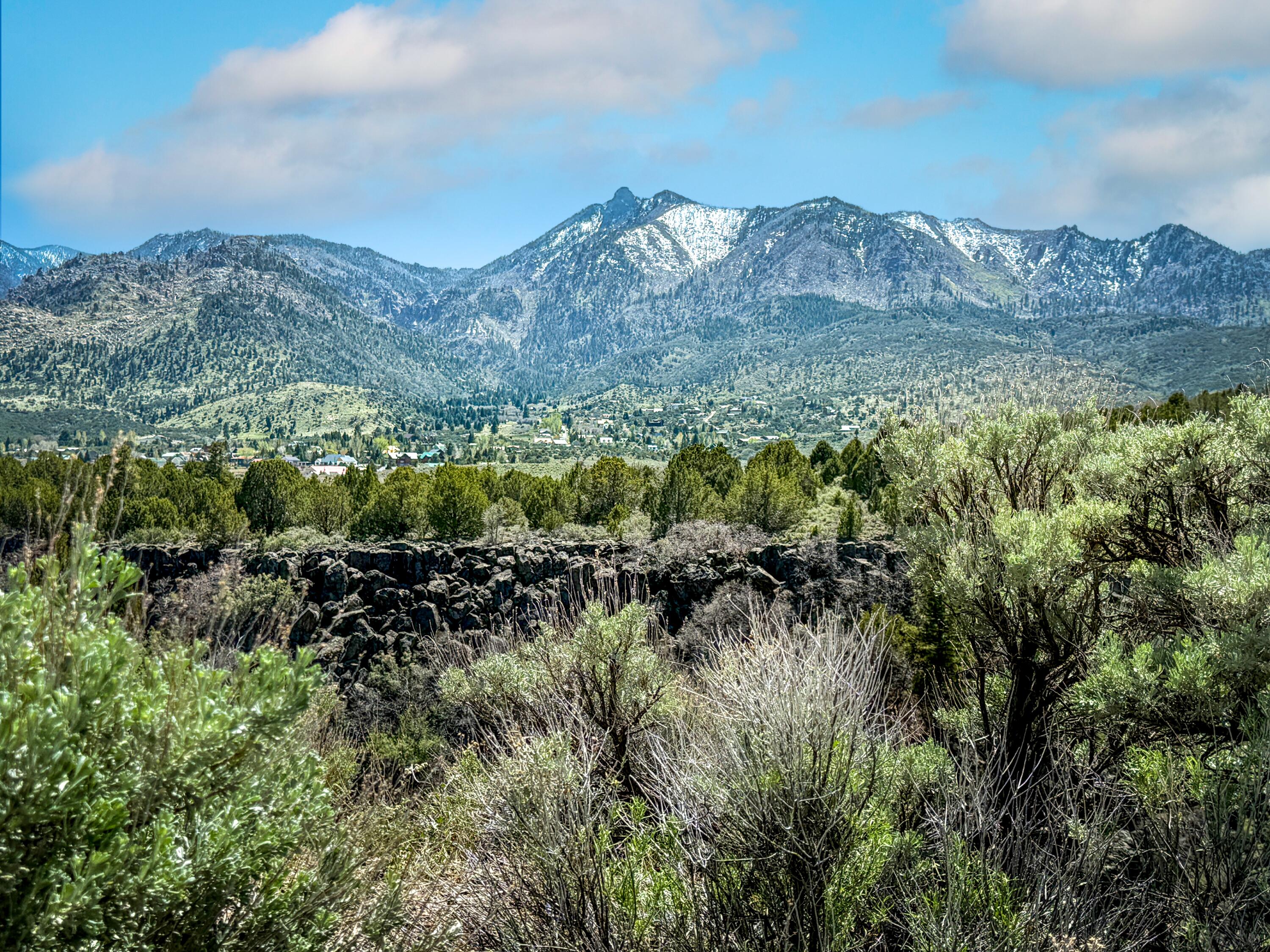 PINE VALLEY RANCHOS - Residential