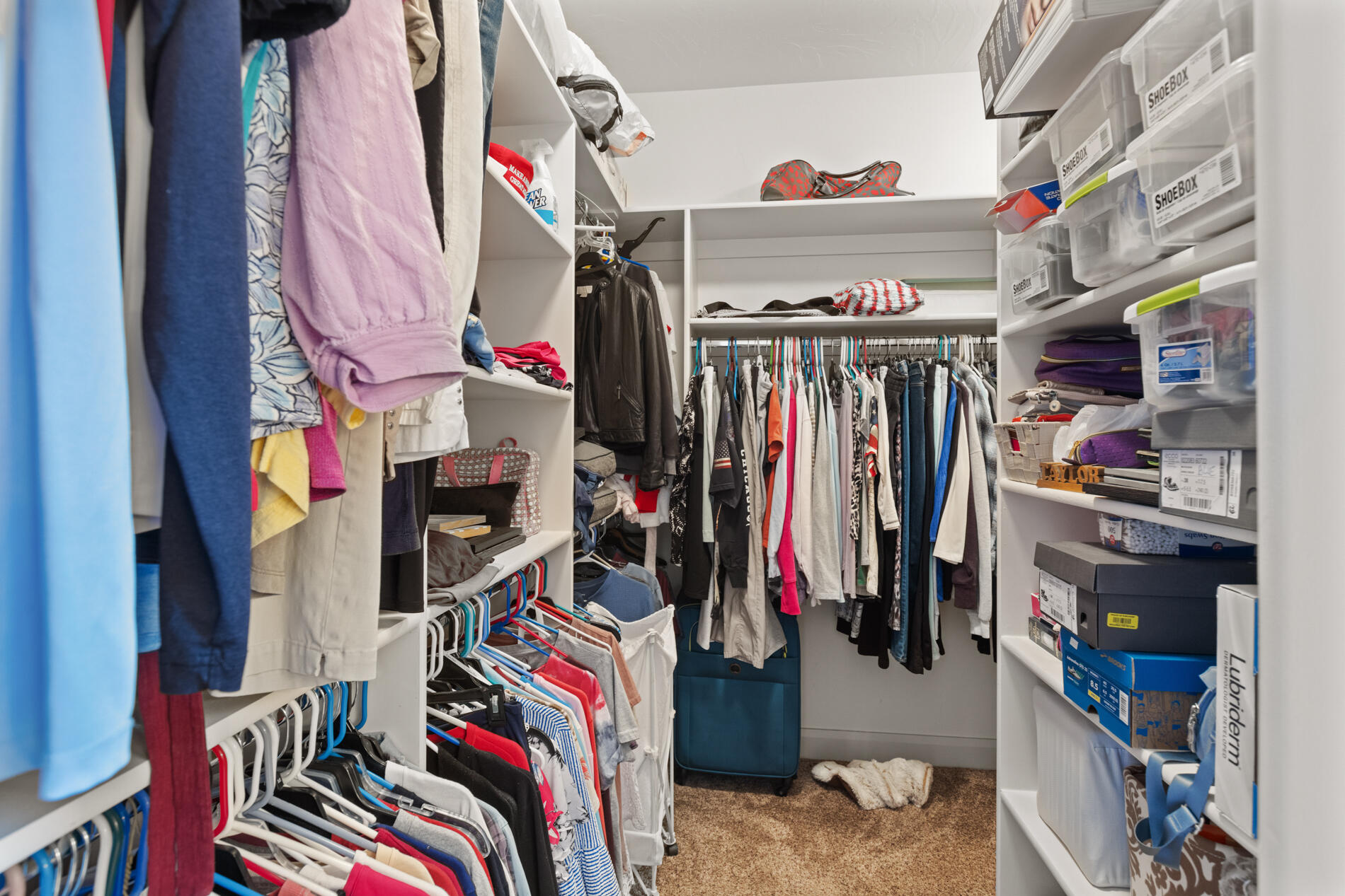 BELLA SOL AT SANTA CLARA - Residential