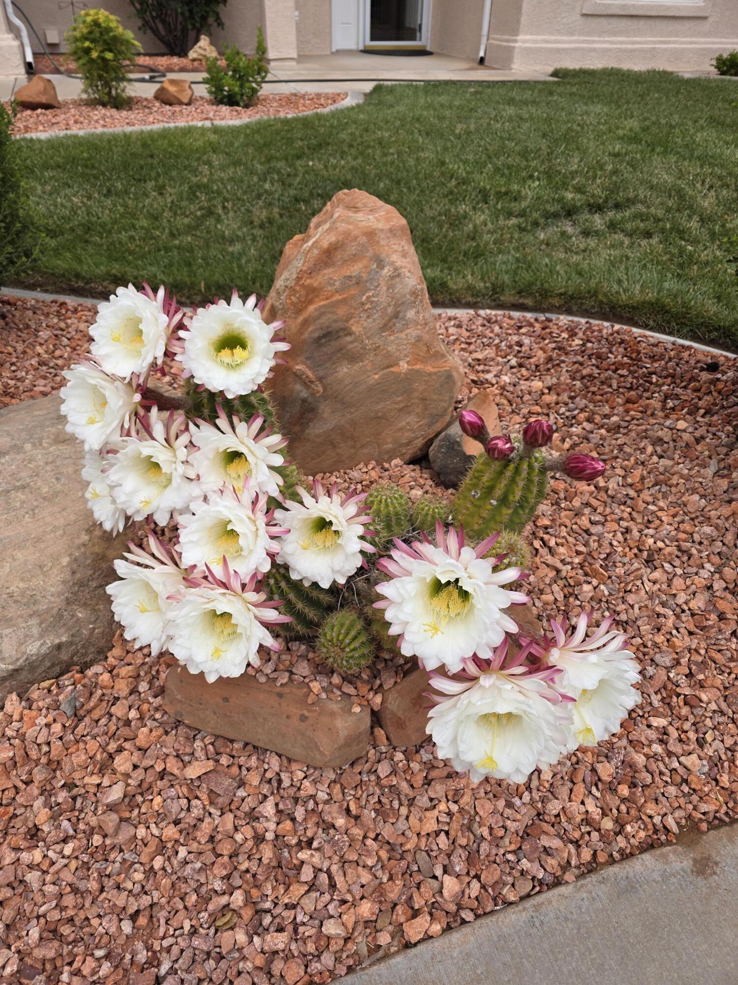 SKY RIDGE HOMESITES - Residential