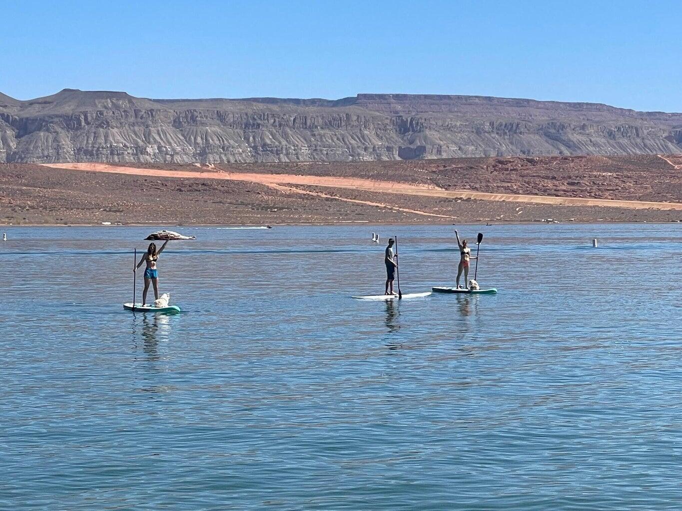 DIXIE SPRINGS - Residential