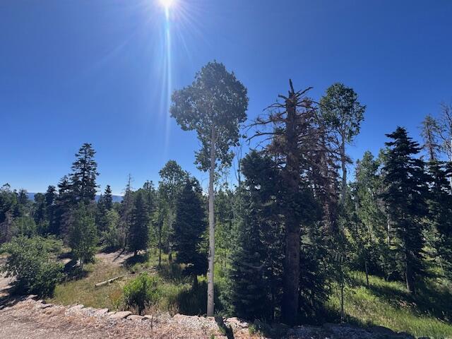 TERRACE DRIVE - Residential