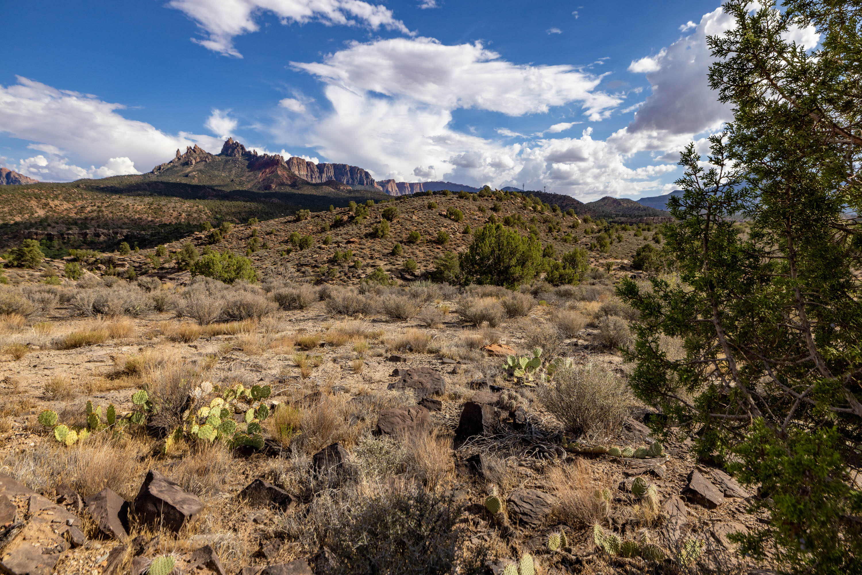ANASAZI PLATEAU - Land