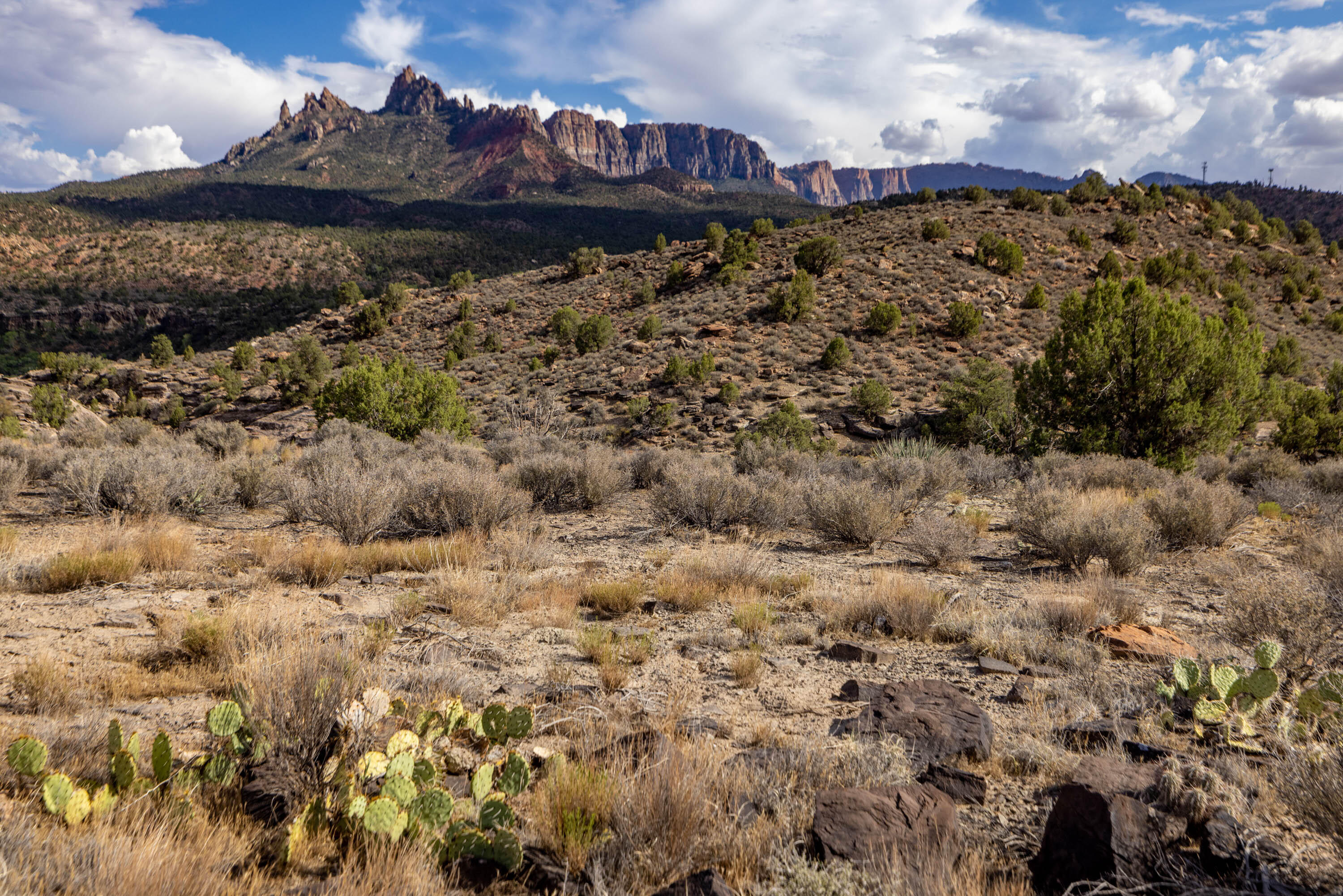 ANASAZI PLATEAU - Land