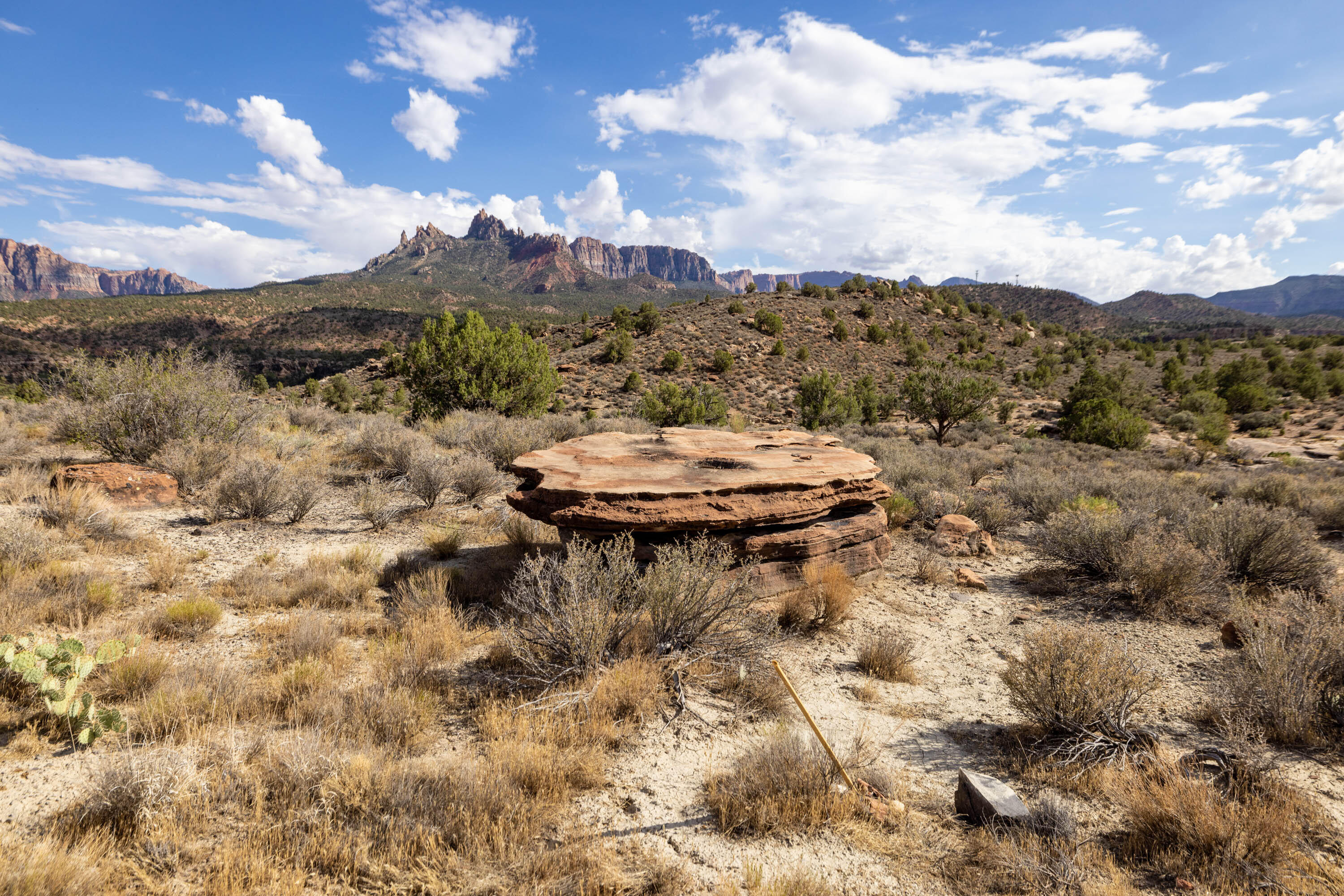 ANASAZI PLATEAU - Land