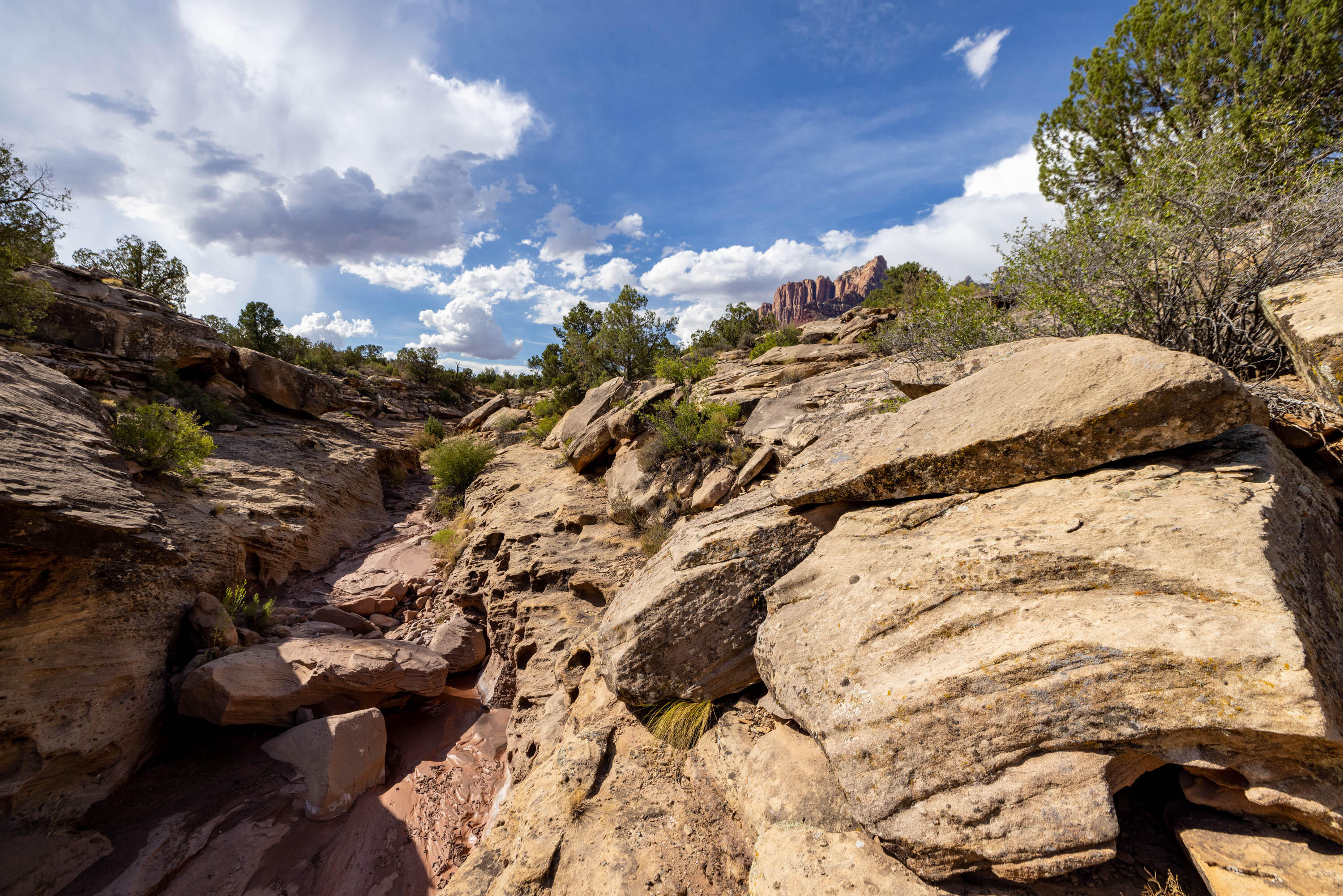 ANASAZI PLATEAU - Land