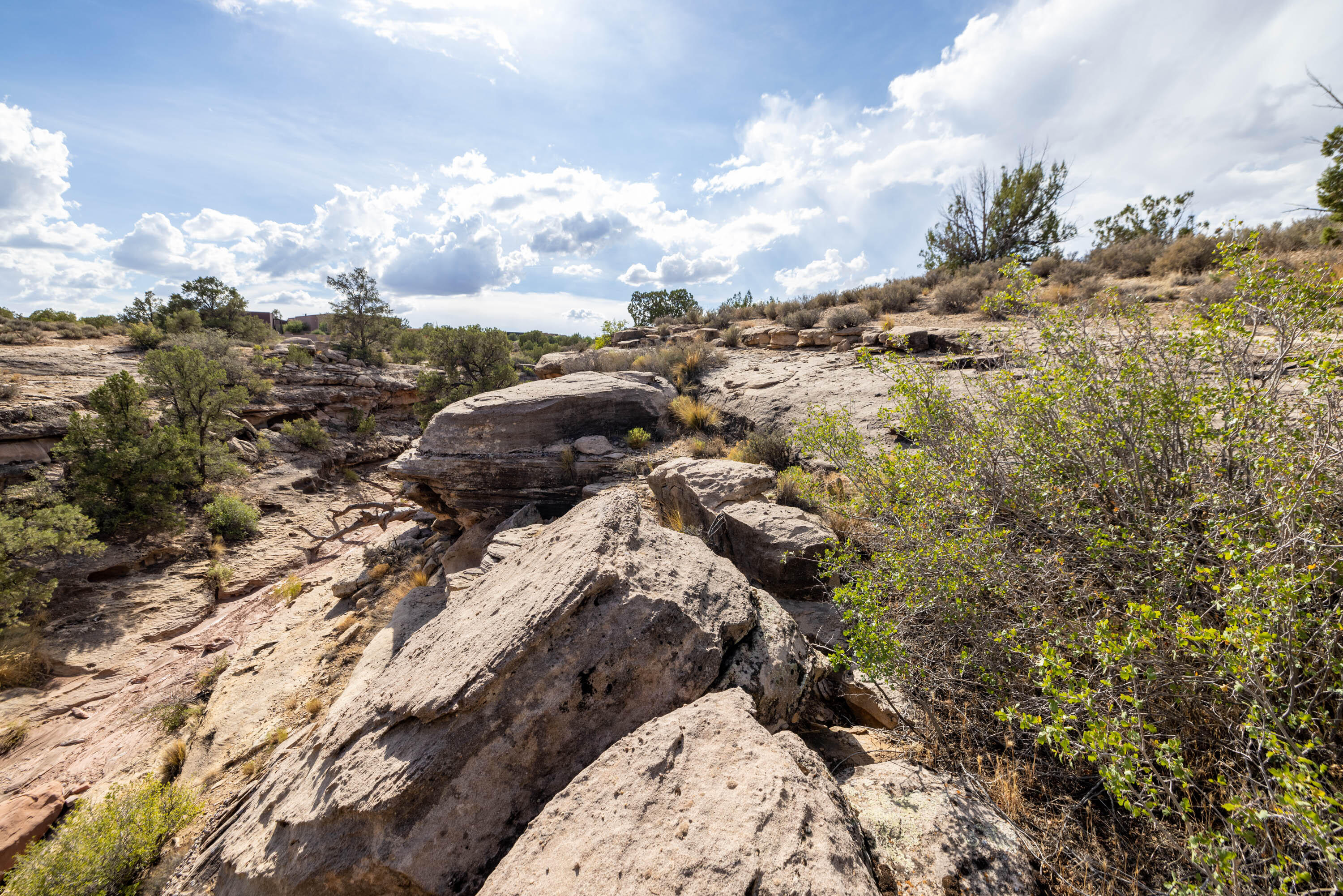 ANASAZI PLATEAU - Land