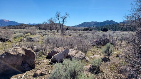 Tiny photo for 46.64 Ac, New Harmony, UT 84757 (MLS # 26-276799)