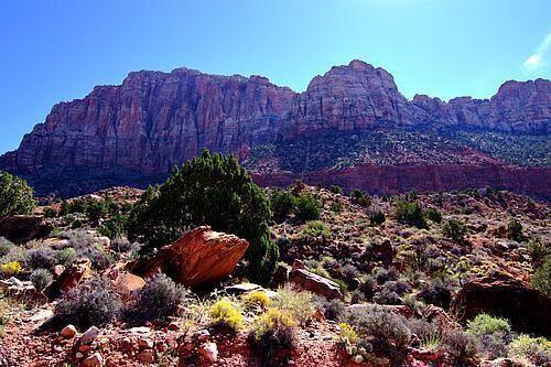 SPRINGDALE TOWNSITE - Land