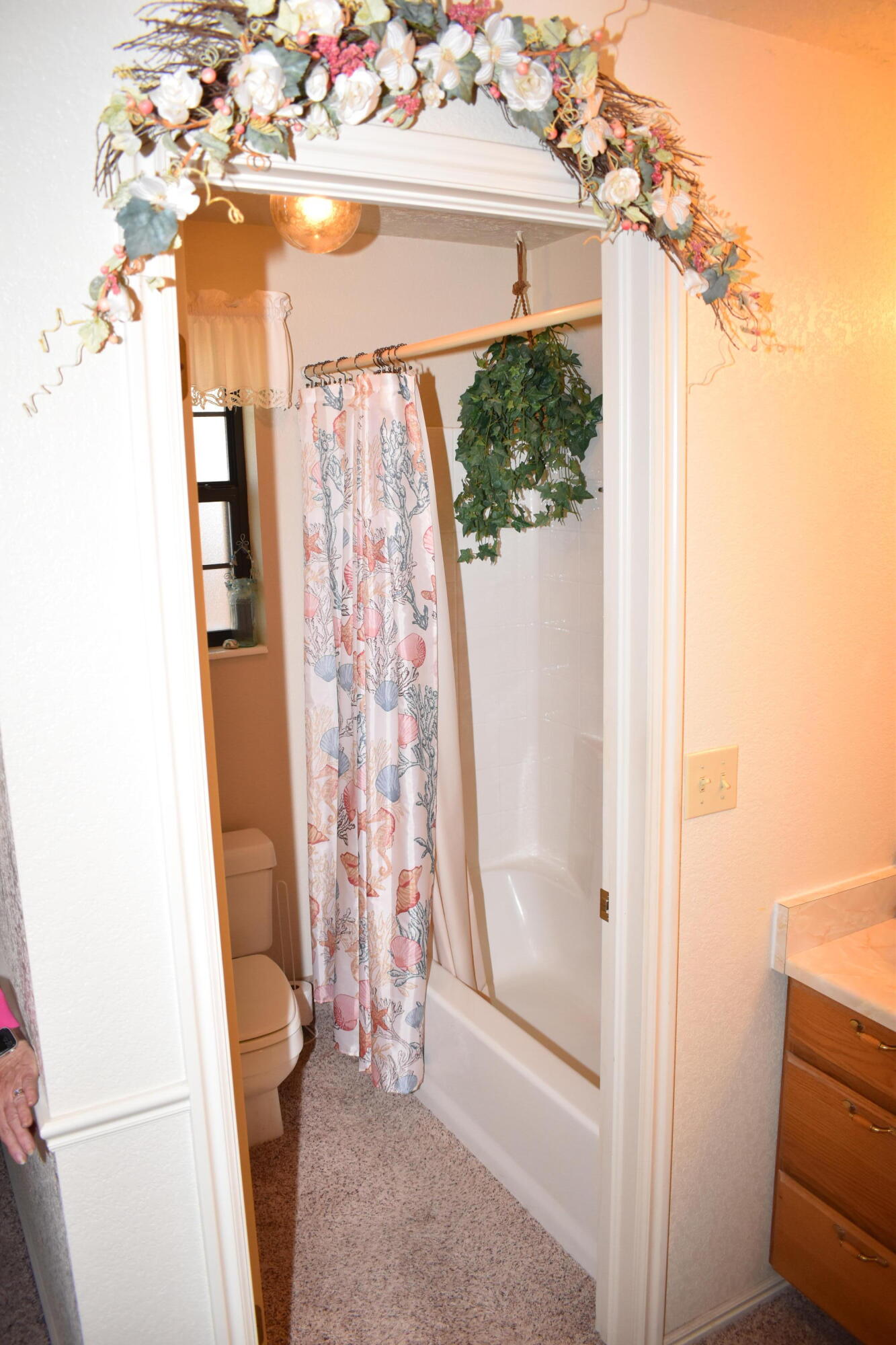 COLOR VIEW TOWNHOMES - Residential