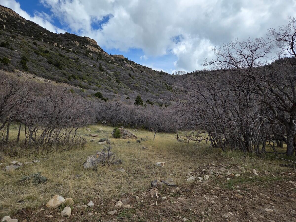 NOT AVAILABLE - Land