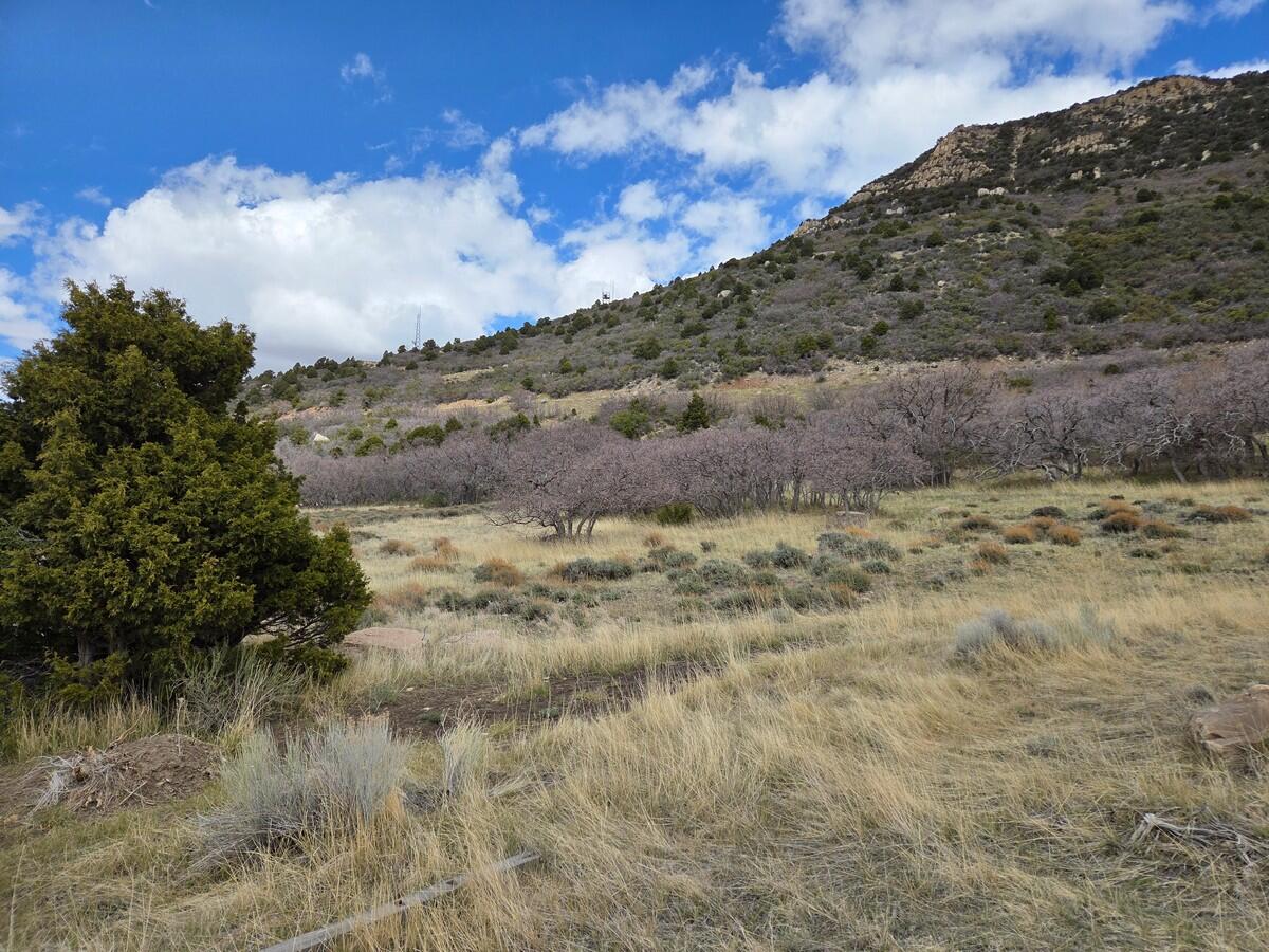 NOT AVAILABLE - Land