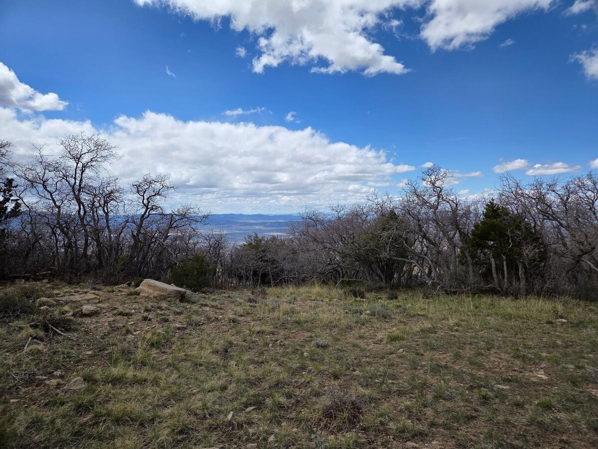 NOT AVAILABLE - Land