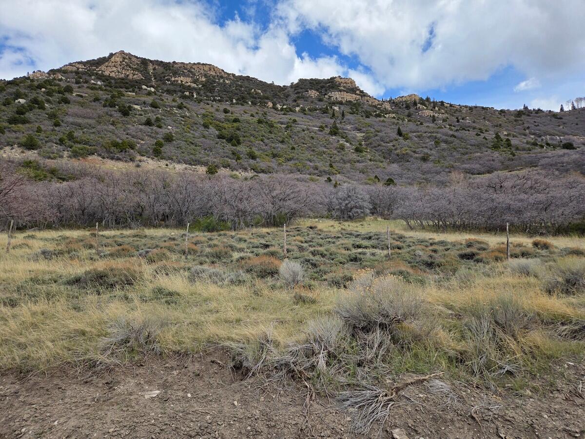 NOT AVAILABLE - Land