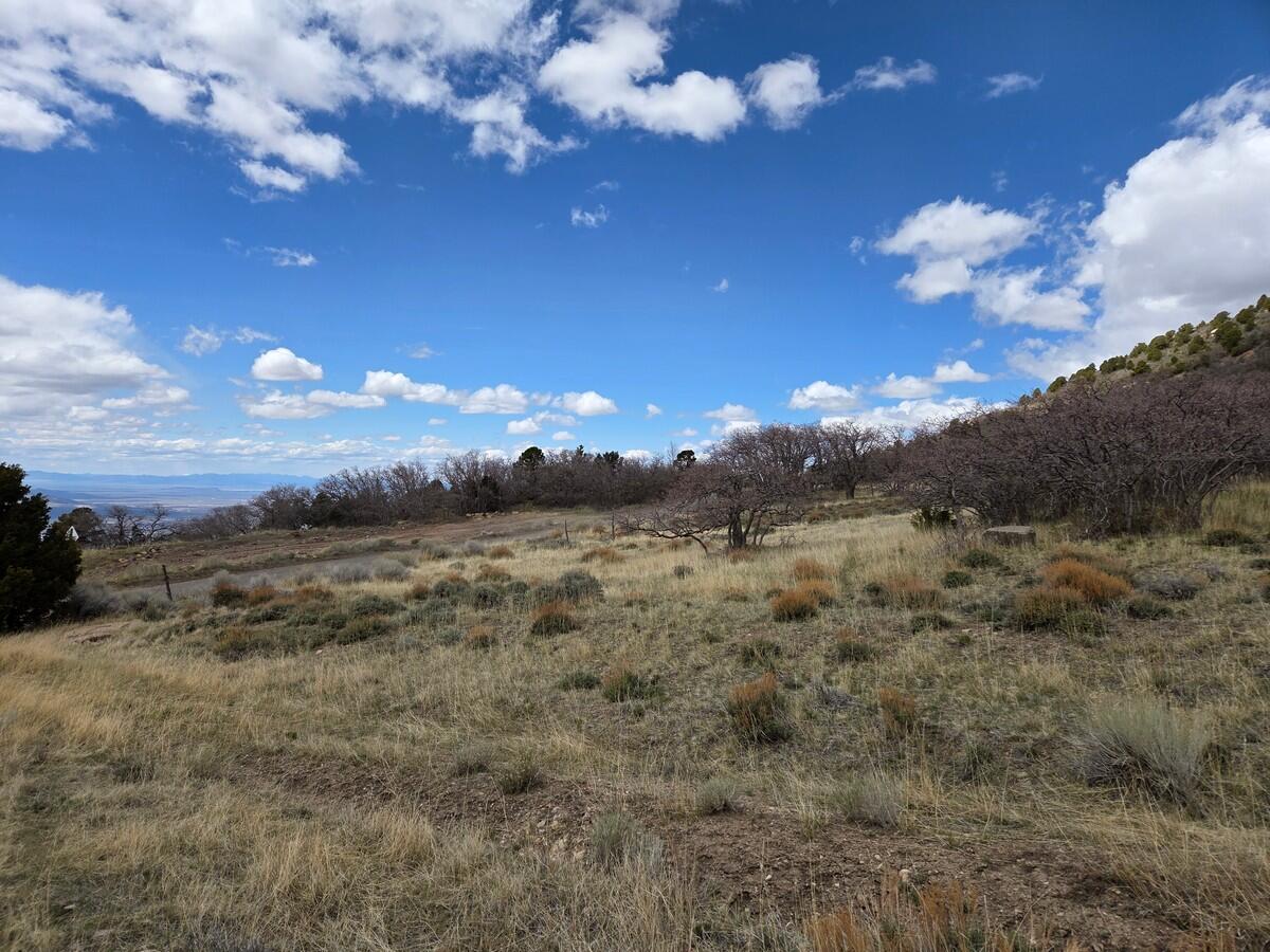 NOT AVAILABLE - Land