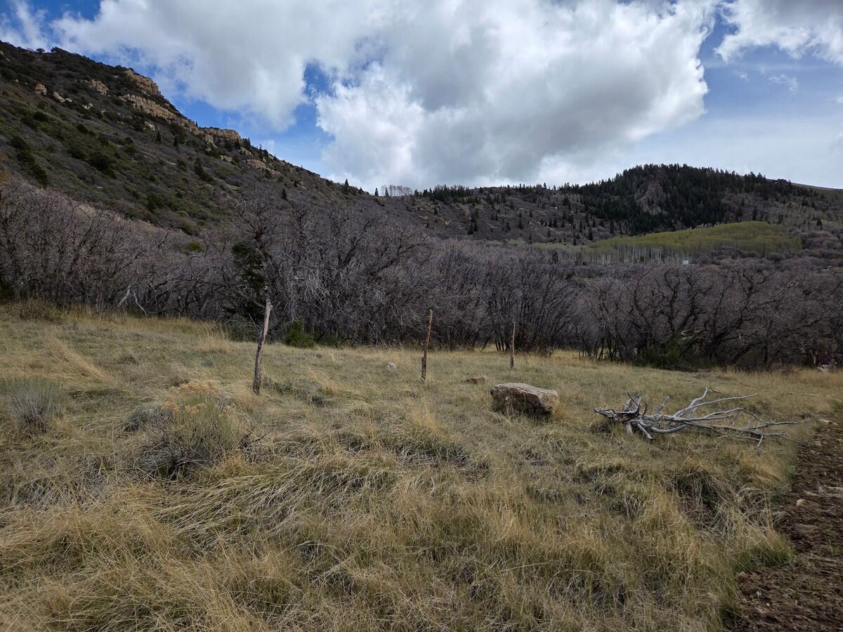 NOT AVAILABLE - Land