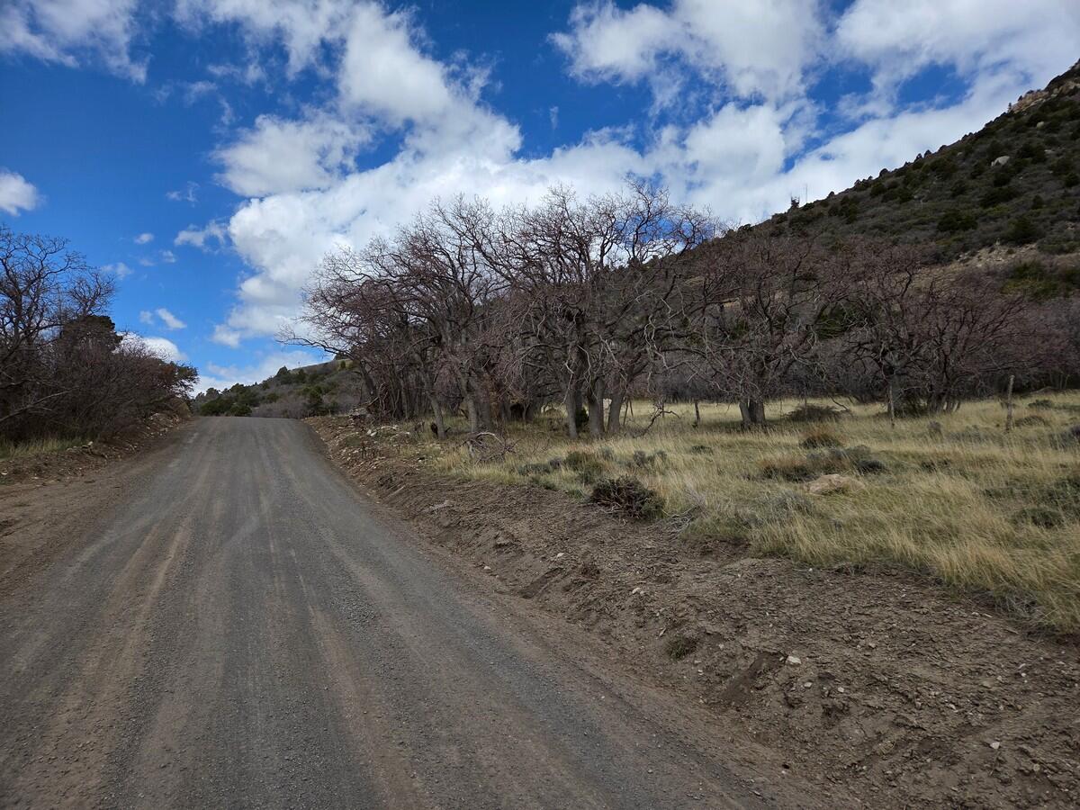 NOT AVAILABLE - Land