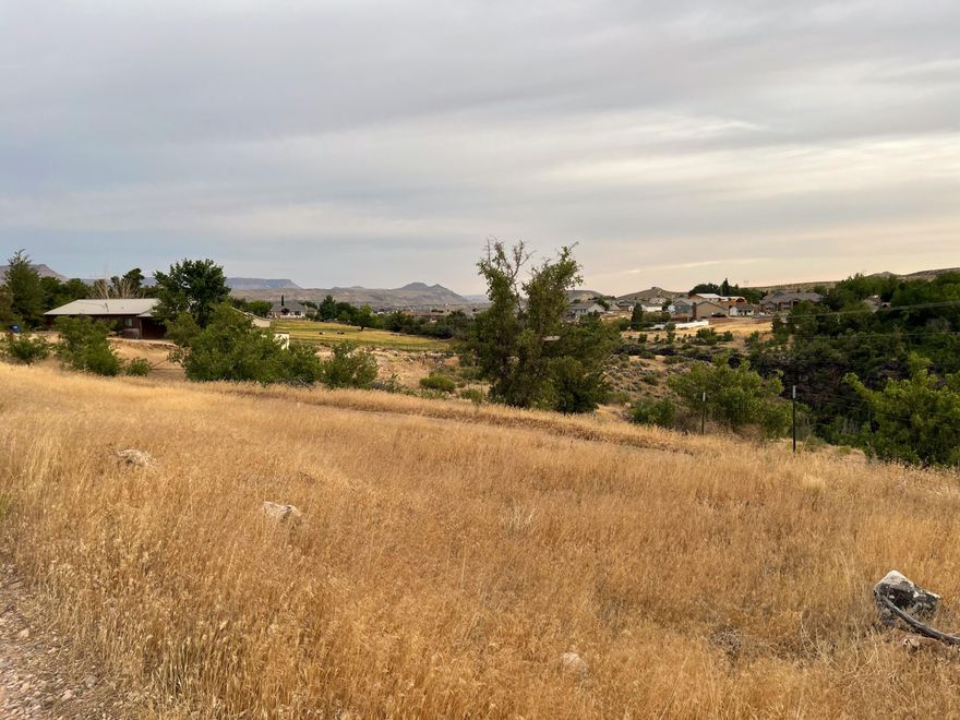 Large lot with gorgeous views of Pine Valley Mountain and Ash Creek. The land sits atop the ravine and provides expansive views of the creek bed below. Plenty of space for a large home and even more for horses, trailers, toys, etc... All utilities are very nearby if not already on the lot. Zoned Agricultural. The ''Old Pioneer Road'' has been abandoned by the city and there are no access easements recorded other than the owner and a small portion at the entrance for the next door neighbor. Please contact me with questions. Owner/Agent.