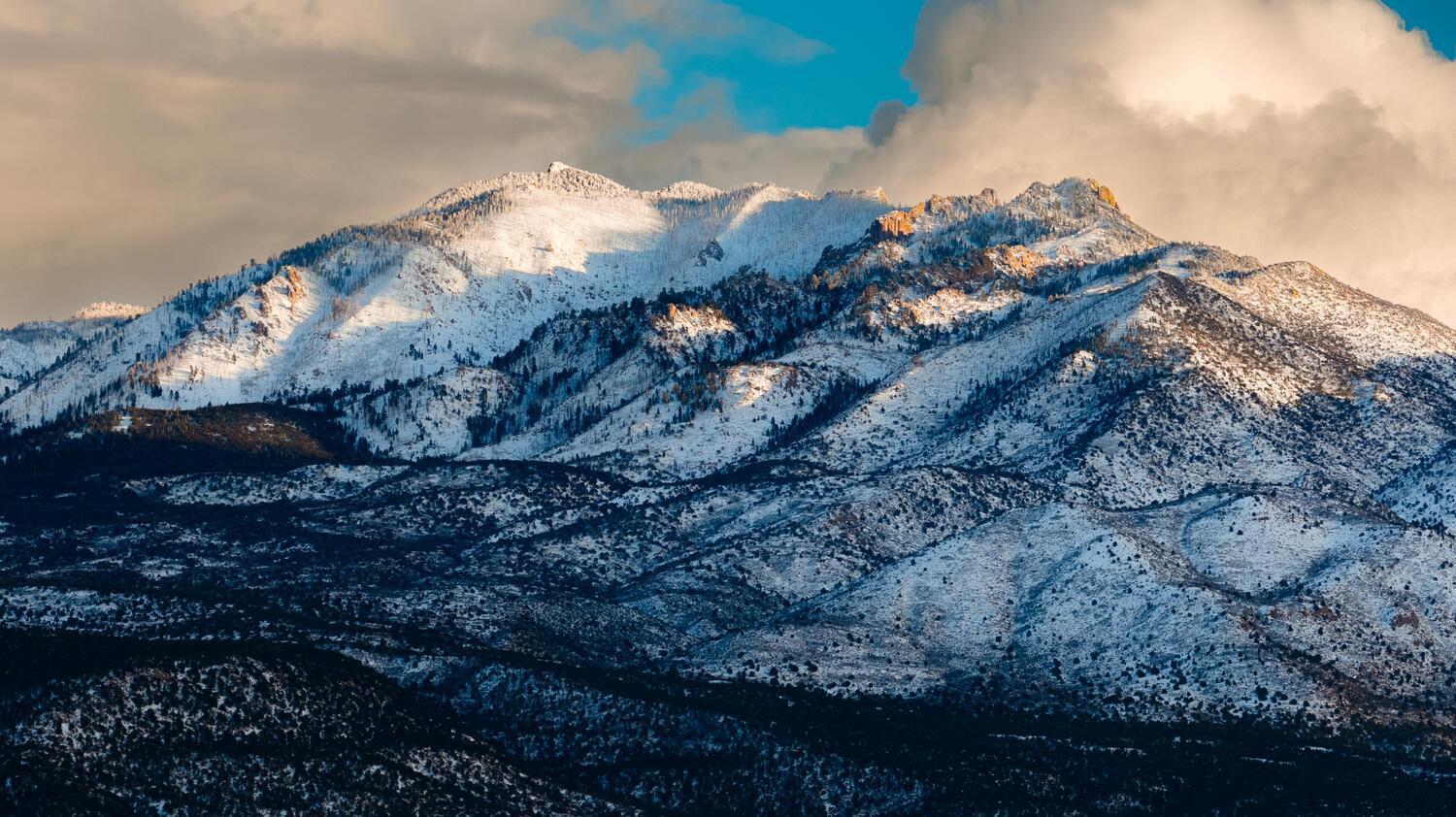 DIXIE DEER ESTATES - Residential